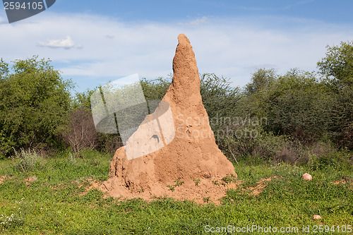 Image of Huge termite mound in Africa