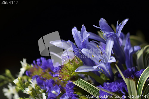 Image of Purple Wedding Bouquet