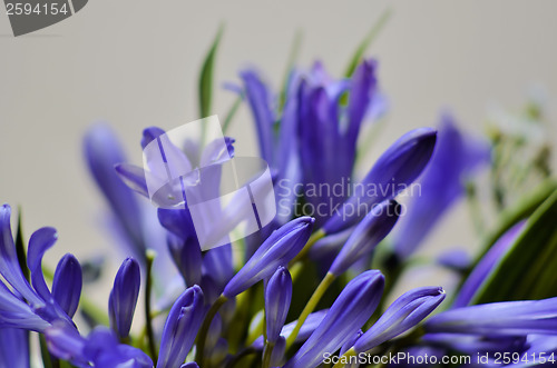 Image of Wedding Bouquet