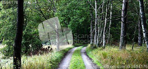 Image of Nature in south Sweden