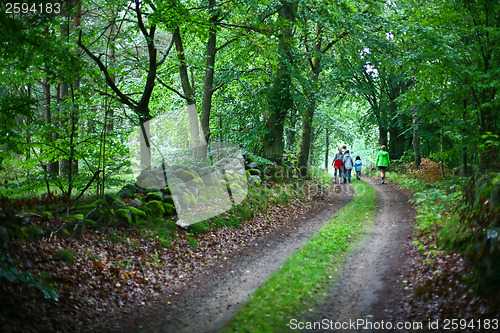 Image of  Nature in south Sweden