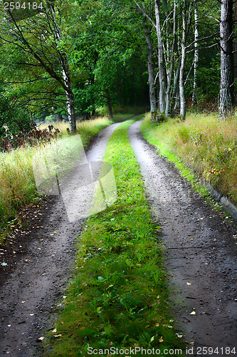 Image of Nature in south Sweden