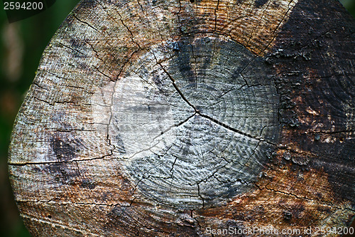 Image of  Nature in south Sweden