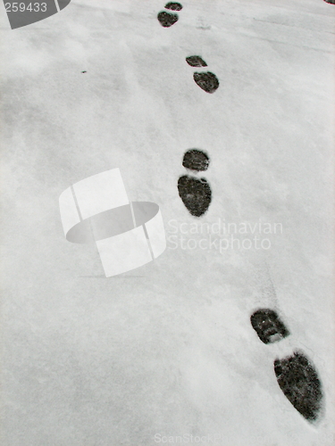 Image of Snowy Footprints