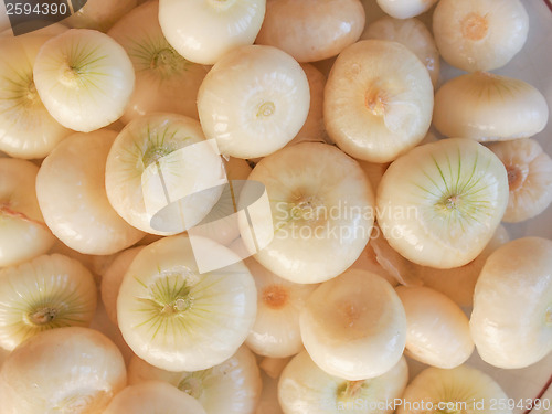 Image of Onions