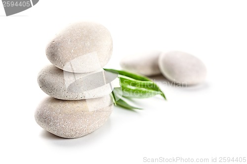 Image of stones and green leaves 