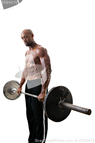 Image of Muscle Man Holding Barbell Weights