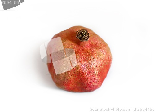 Image of Pomegranate 
