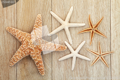 Image of Starfish  
