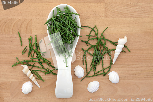 Image of Samphire