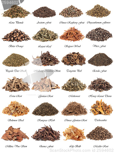 Image of Chinese Medicine