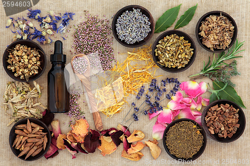 Image of Naturopathic Medicine