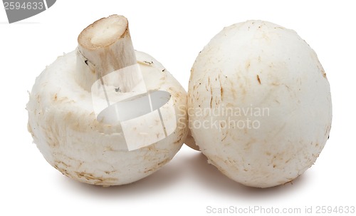 Image of Champignon mushrooms