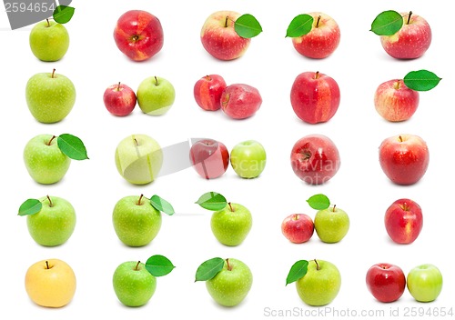 Image of Apples