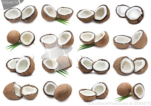 Image of Coconuts