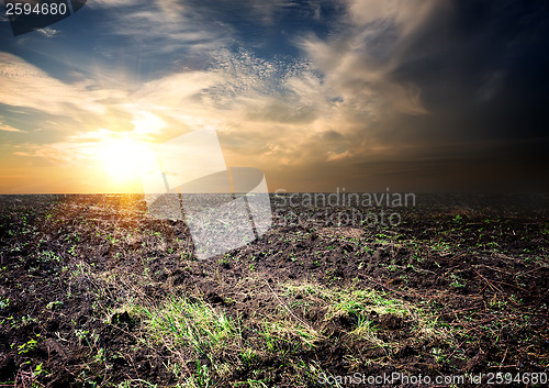 Image of Sunrise over the cultivated field