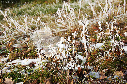 Image of Winter