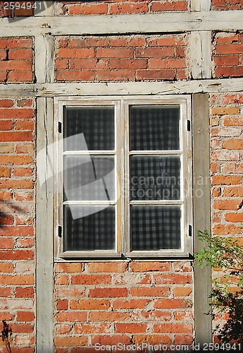 Image of Lovely Window