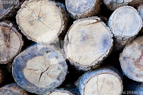 Image of wood pile