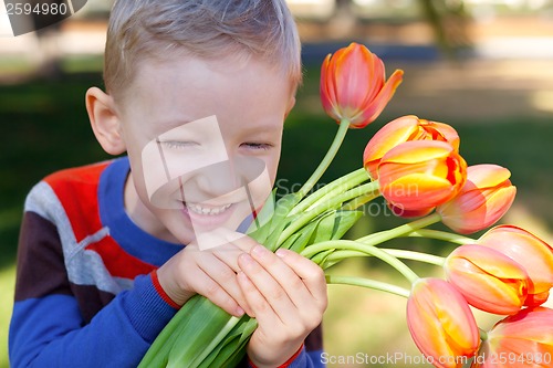 Image of spring time