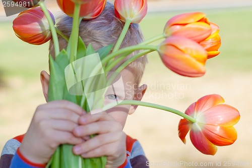 Image of spring time