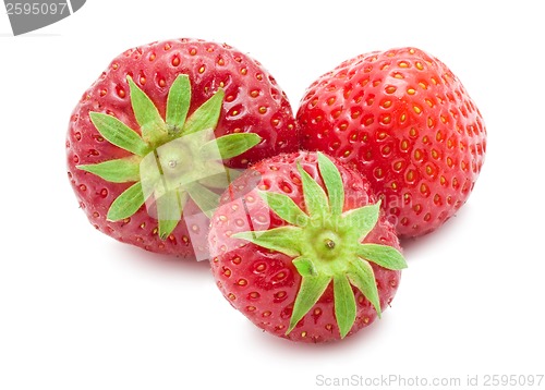 Image of Strawberry