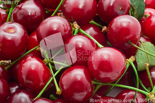 Image of Red cherry