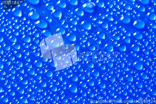 Image of Water drops