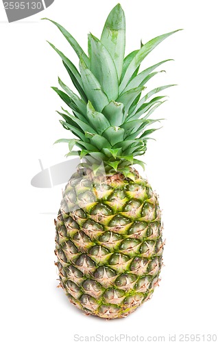 Image of Pineapple