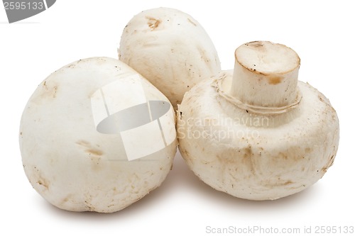 Image of Champignon mushrooms