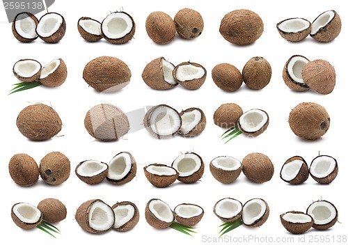 Image of Coconuts