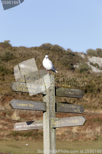 Image of Mumbles signpost