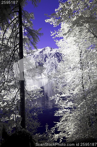 Image of Lake Brienz 