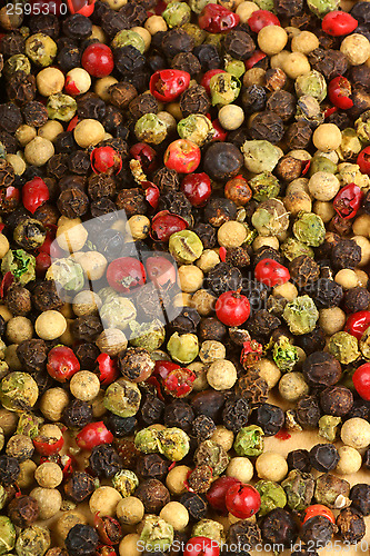 Image of Four seasons pepper grains background