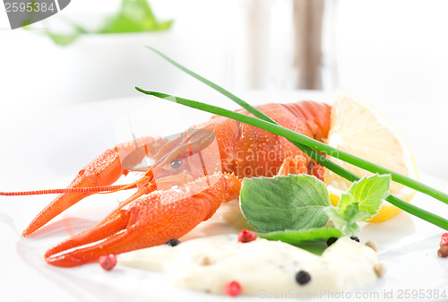 Image of Red crayfish