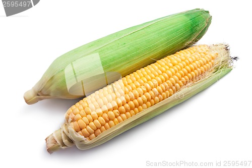 Image of Corn