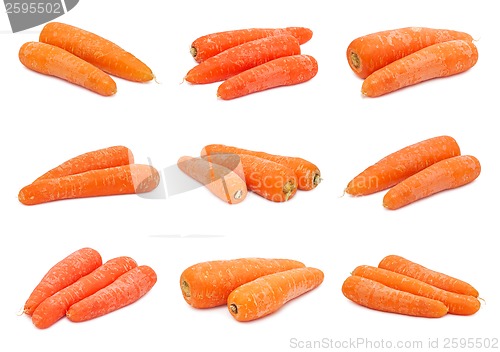 Image of Carrot
