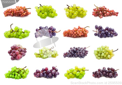 Image of Grapes