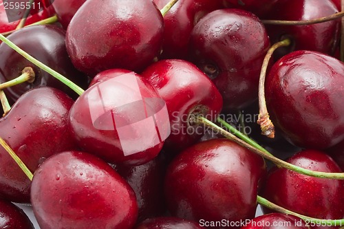 Image of Red cherry