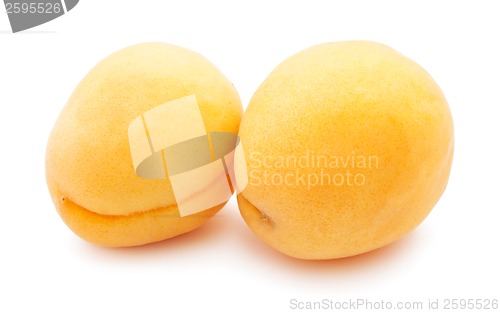 Image of Apricots