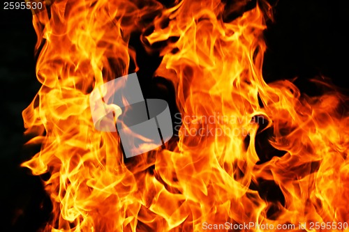 Image of Fire