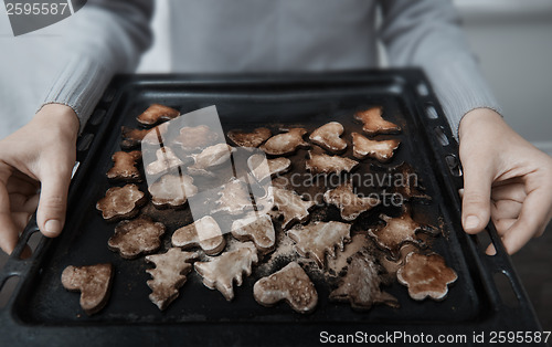 Image of Burnt cookies