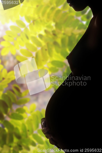 Image of Pregnancy and nature