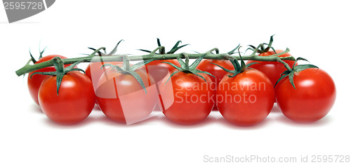 Image of cherry tomatoes isolated on white