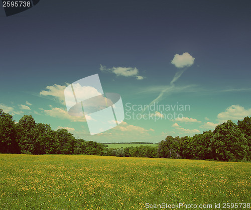 Image of summer landscape - vintage retro style