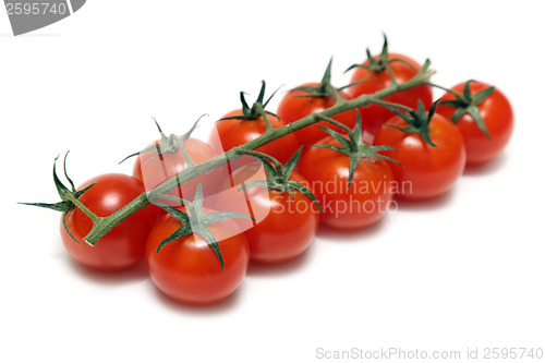 Image of cherry tomatoes isolated on white