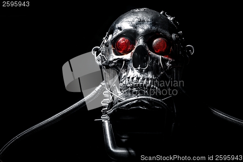 Image of Skull of a human size robot