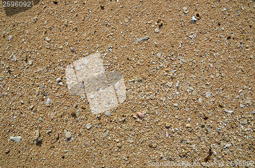 Image of Beach Detail