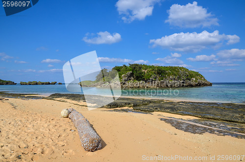 Image of Tropical coast