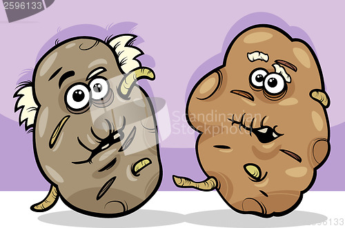 Image of old potatoes cartoon illustration